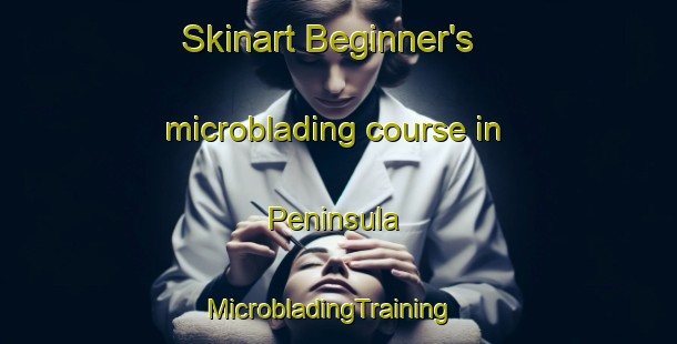 Skinart Beginner's microblading course in Peninsula | MicrobladingTraining | MicrobladingClasses | SkinartTraining-South Africa
