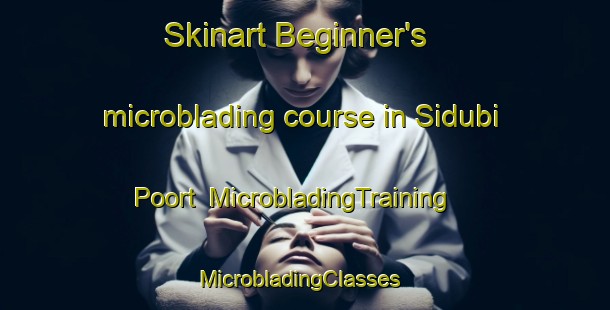 Skinart Beginner's microblading course in Sidubi Poort | MicrobladingTraining | MicrobladingClasses | SkinartTraining-South Africa
