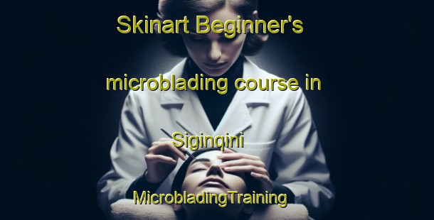 Skinart Beginner's microblading course in Siginqini | MicrobladingTraining | MicrobladingClasses | SkinartTraining-South Africa