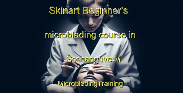 Skinart Beginner's microblading course in Soshanguve M | #MicrobladingTraining #MicrobladingClasses #SkinartTraining-South Africa