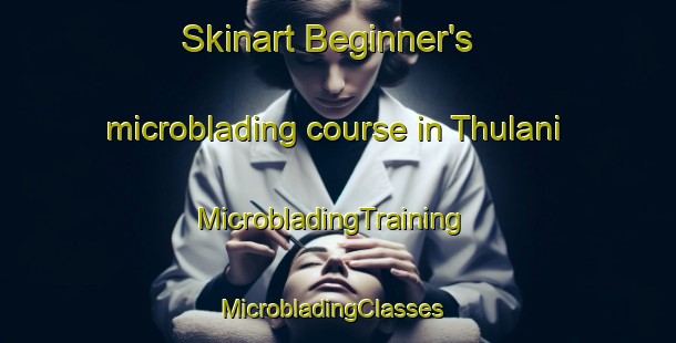 Skinart Beginner's microblading course in Thulani | MicrobladingTraining | MicrobladingClasses | SkinartTraining-South Africa