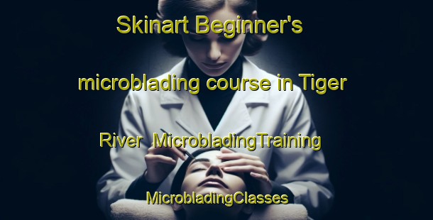 Skinart Beginner's microblading course in Tiger River | #MicrobladingTraining #MicrobladingClasses #SkinartTraining-South Africa