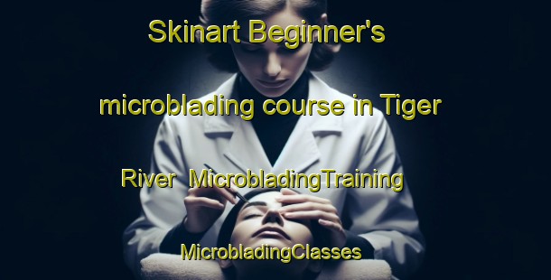Skinart Beginner's microblading course in Tiger River | MicrobladingTraining | MicrobladingClasses | SkinartTraining-South Africa