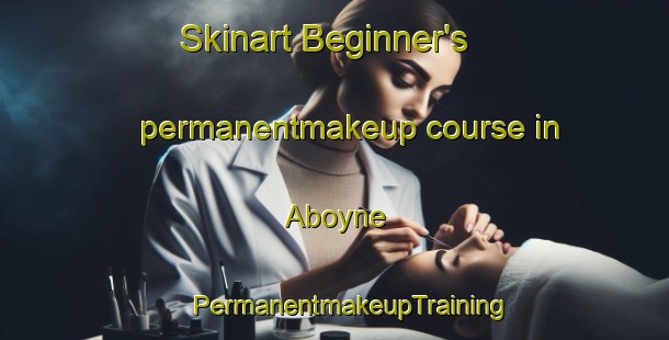 Skinart Beginner's permanentmakeup course in Aboyne | #PermanentmakeupTraining #PermanentmakeupClasses #SkinartTraining-South Africa