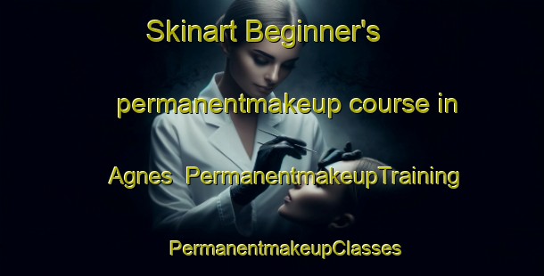 Skinart Beginner's permanentmakeup course in Agnes | #PermanentmakeupTraining #PermanentmakeupClasses #SkinartTraining-South Africa