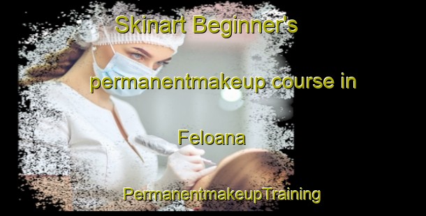 Skinart Beginner's permanentmakeup course in Feloana | #PermanentmakeupTraining #PermanentmakeupClasses #SkinartTraining-South Africa