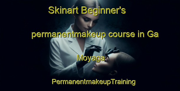 Skinart Beginner's permanentmakeup course in Ga Moyaga | #PermanentmakeupTraining #PermanentmakeupClasses #SkinartTraining-South Africa