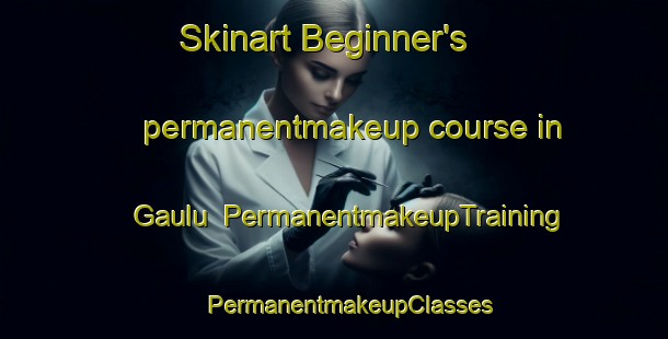 Skinart Beginner's permanentmakeup course in Gaulu | #PermanentmakeupTraining #PermanentmakeupClasses #SkinartTraining-South Africa