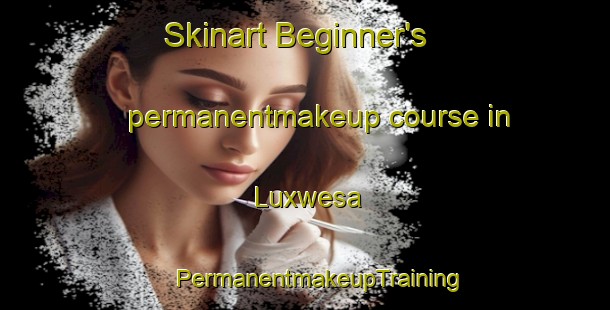 Skinart Beginner's permanentmakeup course in Luxwesa | #PermanentmakeupTraining #PermanentmakeupClasses #SkinartTraining-South Africa