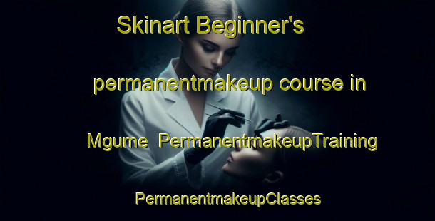 Skinart Beginner's permanentmakeup course in Mgume | #PermanentmakeupTraining #PermanentmakeupClasses #SkinartTraining-South Africa