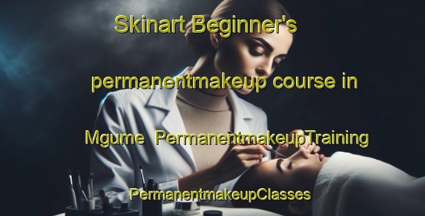 Skinart Beginner's permanentmakeup course in Mgume | PermanentmakeupTraining | PermanentmakeupClasses | SkinartTraining-South Africa