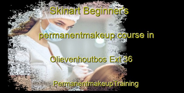 Skinart Beginner's permanentmakeup course in Olievenhoutbos Ext 36 | #PermanentmakeupTraining #PermanentmakeupClasses #SkinartTraining-South Africa