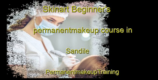 Skinart Beginner's permanentmakeup course in Sandile | #PermanentmakeupTraining #PermanentmakeupClasses #SkinartTraining-South Africa