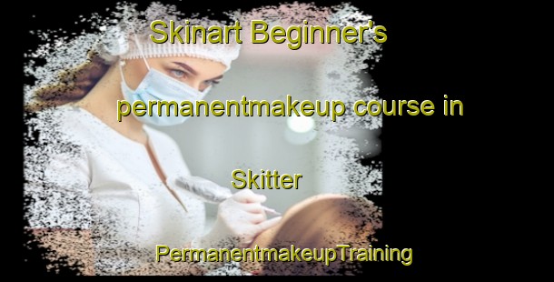 Skinart Beginner's permanentmakeup course in Skitter | PermanentmakeupTraining | PermanentmakeupClasses | SkinartTraining-South Africa