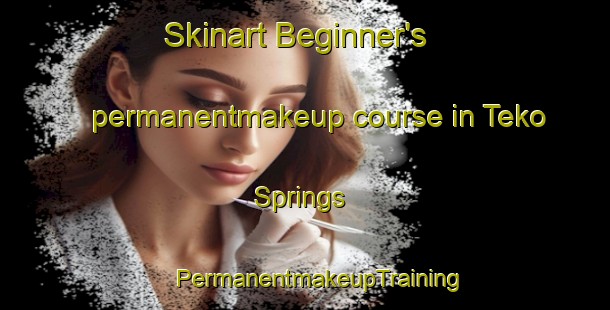 Skinart Beginner's permanentmakeup course in Teko Springs | #PermanentmakeupTraining #PermanentmakeupClasses #SkinartTraining-South Africa