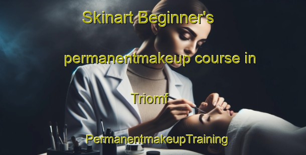 Skinart Beginner's permanentmakeup course in Triomf | PermanentmakeupTraining | PermanentmakeupClasses | SkinartTraining-South Africa