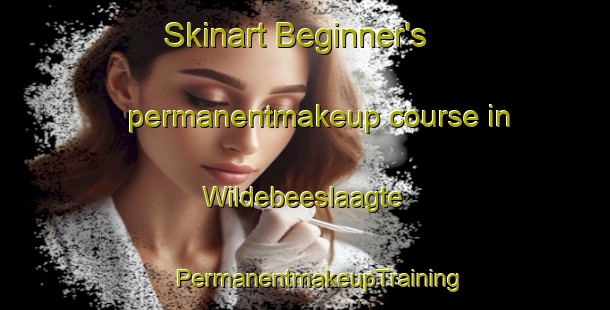 Skinart Beginner's permanentmakeup course in Wildebeeslaagte | #PermanentmakeupTraining #PermanentmakeupClasses #SkinartTraining-South Africa