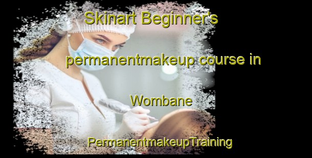 Skinart Beginner's permanentmakeup course in Wombane | PermanentmakeupTraining | PermanentmakeupClasses | SkinartTraining-South Africa