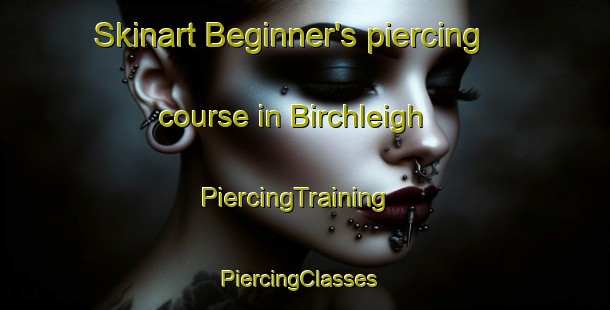 Skinart Beginner's piercing course in Birchleigh | PiercingTraining | PiercingClasses | SkinartTraining-South Africa