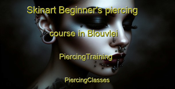 Skinart Beginner's piercing course in Blouvlei | #PiercingTraining #PiercingClasses #SkinartTraining-South Africa