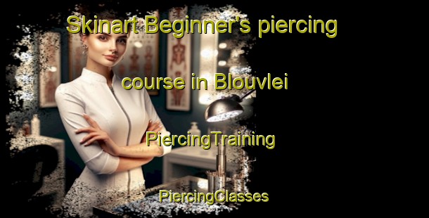 Skinart Beginner's piercing course in Blouvlei | #PiercingTraining #PiercingClasses #SkinartTraining-South Africa