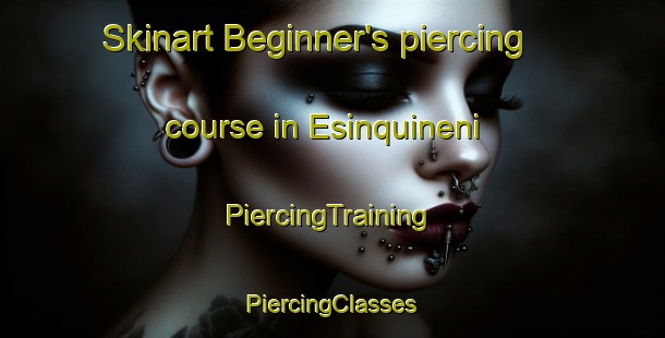 Skinart Beginner's piercing course in Esinquineni | #PiercingTraining #PiercingClasses #SkinartTraining-South Africa