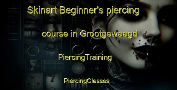 Skinart Beginner's piercing course in Grootgewaagd | PiercingTraining | PiercingClasses | SkinartTraining-South Africa