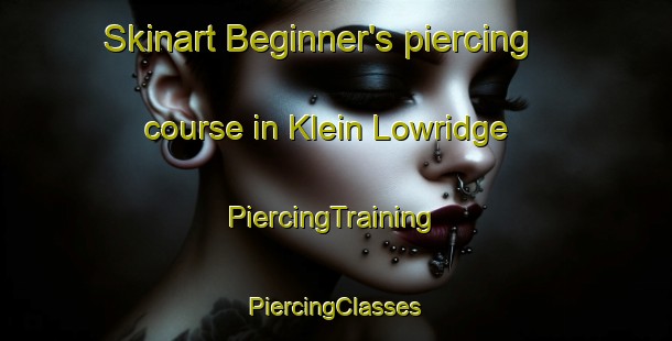 Skinart Beginner's piercing course in Klein Lowridge | #PiercingTraining #PiercingClasses #SkinartTraining-South Africa