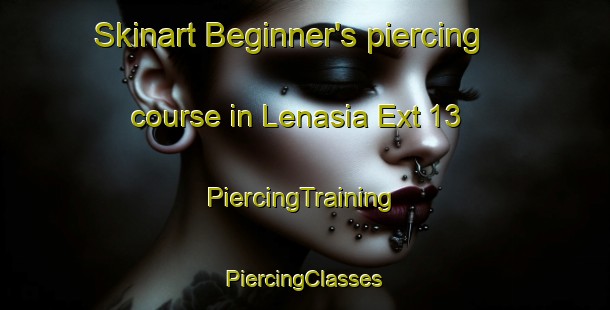 Skinart Beginner's piercing course in Lenasia Ext 13 | #PiercingTraining #PiercingClasses #SkinartTraining-South Africa