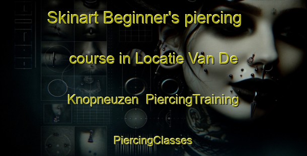 Skinart Beginner's piercing course in Locatie Van De Knopneuzen | #PiercingTraining #PiercingClasses #SkinartTraining-South Africa