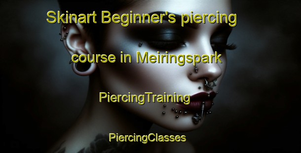 Skinart Beginner's piercing course in Meiringspark | PiercingTraining | PiercingClasses | SkinartTraining-South Africa