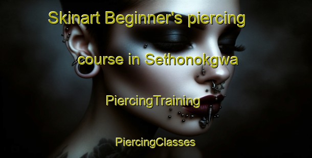 Skinart Beginner's piercing course in Sethonokgwa | #PiercingTraining #PiercingClasses #SkinartTraining-South Africa