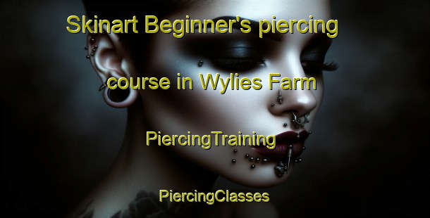 Skinart Beginner's piercing course in Wylies Farm | #PiercingTraining #PiercingClasses #SkinartTraining-South Africa