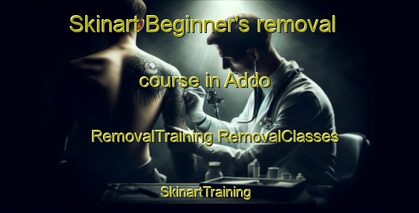 Skinart Beginner's removal course in Addo | #RemovalTraining #RemovalClasses #SkinartTraining-South Africa