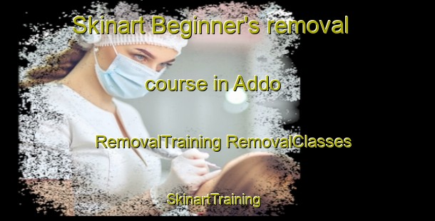 Skinart Beginner's removal course in Addo | #RemovalTraining #RemovalClasses #SkinartTraining-South Africa