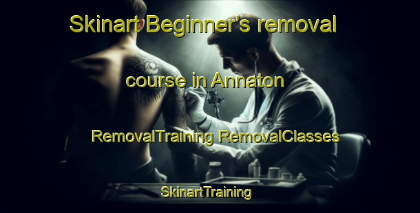 Skinart Beginner's removal course in Annaton | #RemovalTraining #RemovalClasses #SkinartTraining-South Africa