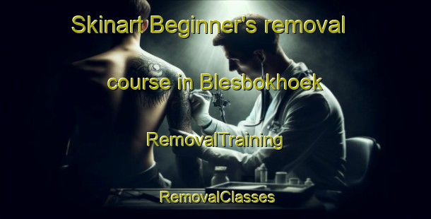 Skinart Beginner's removal course in Blesbokhoek | RemovalTraining | RemovalClasses | SkinartTraining-South Africa