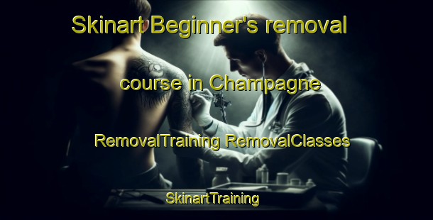 Skinart Beginner's removal course in Champagne | #RemovalTraining #RemovalClasses #SkinartTraining-South Africa