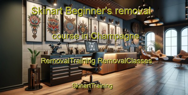 Skinart Beginner's removal course in Champagne | #RemovalTraining #RemovalClasses #SkinartTraining-South Africa