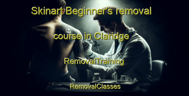 Skinart Beginner's removal course in Claridge | RemovalTraining | RemovalClasses | SkinartTraining-South Africa