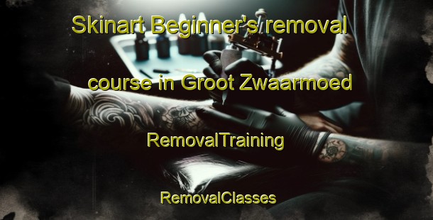 Skinart Beginner's removal course in Groot Zwaarmoed | RemovalTraining | RemovalClasses | SkinartTraining-South Africa