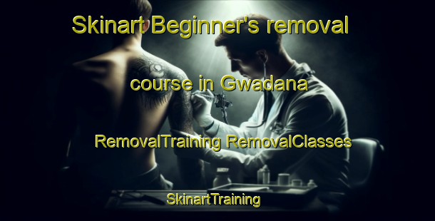 Skinart Beginner's removal course in Gwadana | #RemovalTraining #RemovalClasses #SkinartTraining-South Africa