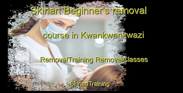 Skinart Beginner's removal course in Kwankwenkwazi | #RemovalTraining #RemovalClasses #SkinartTraining-South Africa