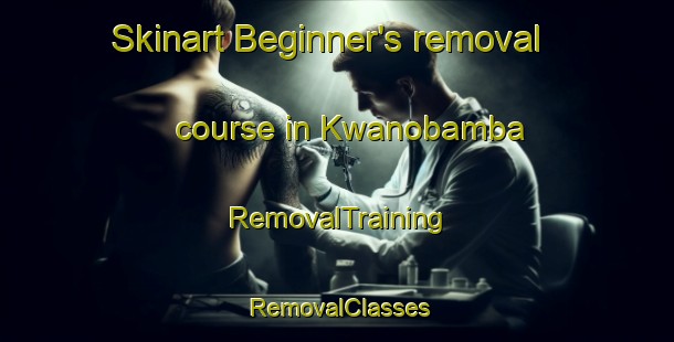 Skinart Beginner's removal course in Kwanobamba | RemovalTraining | RemovalClasses | SkinartTraining-South Africa