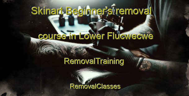 Skinart Beginner's removal course in Lower Flucwecwe | RemovalTraining | RemovalClasses | SkinartTraining-South Africa