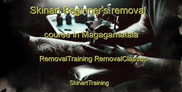 Skinart Beginner's removal course in Magagamatala | #RemovalTraining #RemovalClasses #SkinartTraining-South Africa