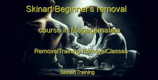 Skinart Beginner's removal course in Magagamatala | #RemovalTraining #RemovalClasses #SkinartTraining-South Africa