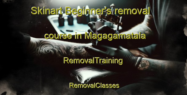 Skinart Beginner's removal course in Magagamatala | RemovalTraining | RemovalClasses | SkinartTraining-South Africa