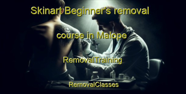 Skinart Beginner's removal course in Malope | RemovalTraining | RemovalClasses | SkinartTraining-South Africa