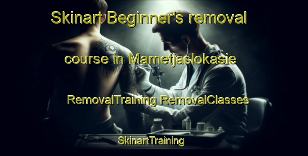 Skinart Beginner's removal course in Mametjaslokasie | #RemovalTraining #RemovalClasses #SkinartTraining-South Africa